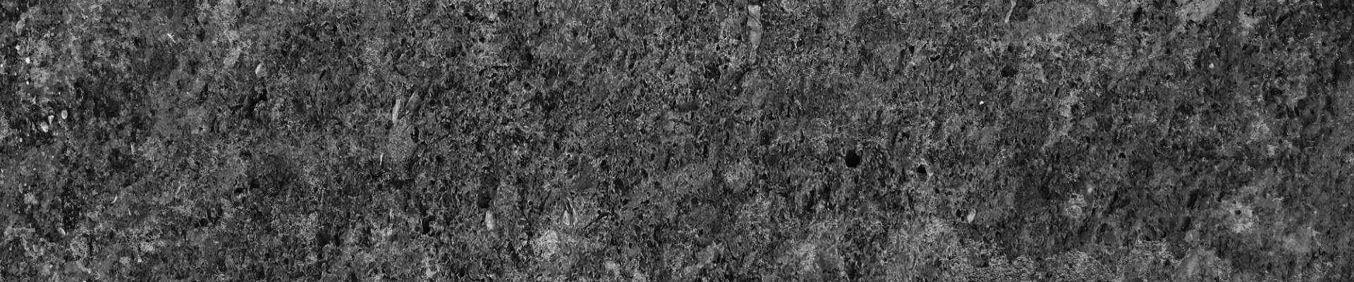 Untitled design (42)